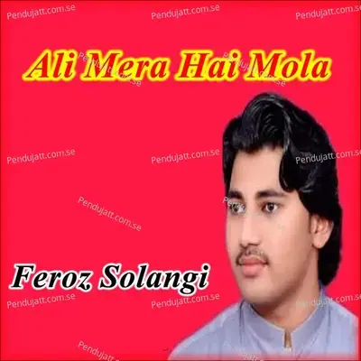 Ya Ali Jian Tuhinja Bachra - Feroz Solangi album cover 