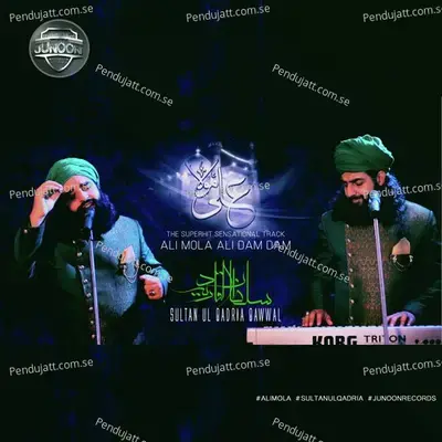 Ali Mola Ali Dam Dam - Sultan Ul QADRIA Qawwal album cover