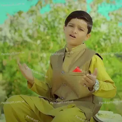 Ali Moula Mai Qurban Jaun - Haider Ali album cover 