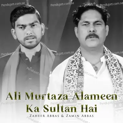 Ali Murtaza Alameen Ka Sultan Hai - Zaheer Abbas album cover 