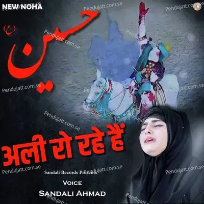 Ali Ro Rahe Hai - Sandali Ahmad album cover 