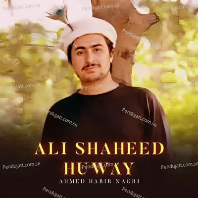 Ali Shaheed Huway - Ahmed Habib Nagri album cover 