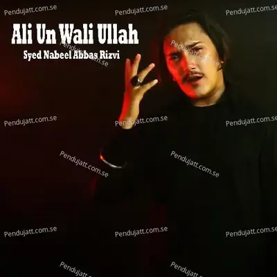 Ali Un Wali Ullah - Syed Nabeel Abbas Rizvi album cover 