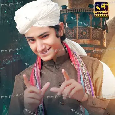 Ali Warga Zamane Te - Ghulam Mustafa Qadri album cover 