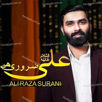 Ali Zaroori Hai - Ali Raza Surani album cover 