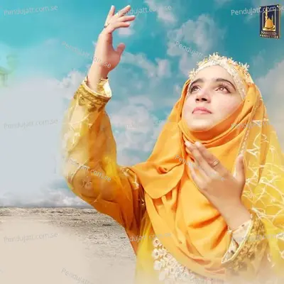 Ali Zarori Hey - Hafiza Mehak Batool album cover 