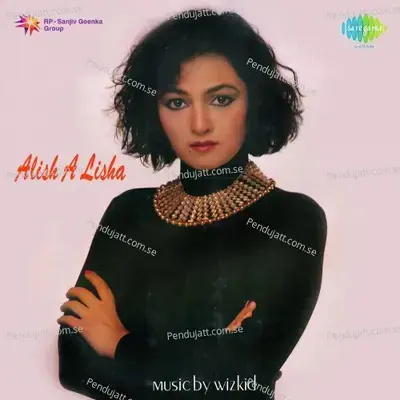 Hai Gum Humdum - Alisha Chinai album cover 