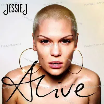Hero - Jessie J album cover 