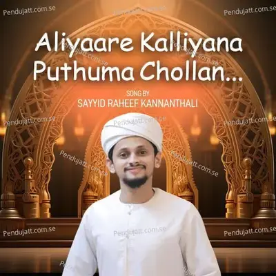 Aliyaare Kalliyana Puthuma Chollan - Sayyid Raheef Kannanthali album cover 