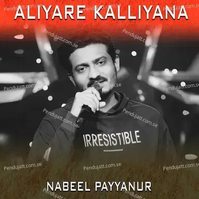 Aliyare Kalliyana - NABEEL PAYYANUR album cover 