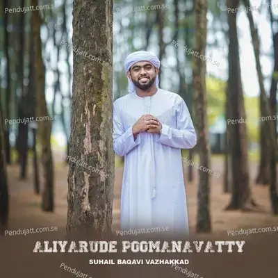 Aliyarude Poomanavatty - SUHAIL BAQAVI VAZHAKKAD album cover 