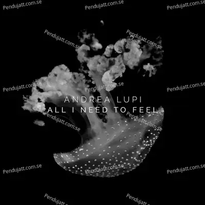 All I Need To Feel - Andrea Lupi