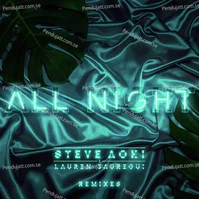 All Night  Remixes  - Steve Aoki cover album