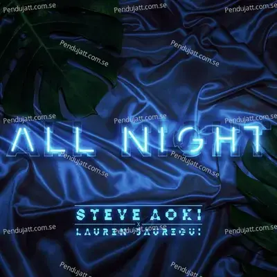 All Night - Steve Aoki album cover 