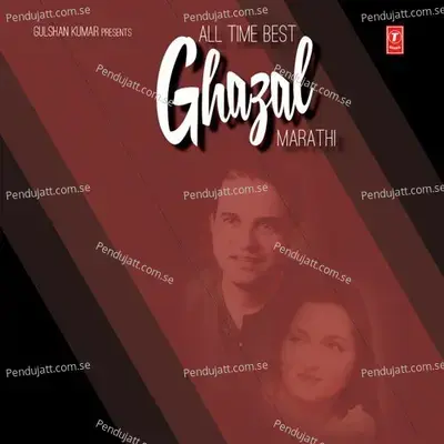 Tu Gelyaver - Suresh Wadkar album cover 