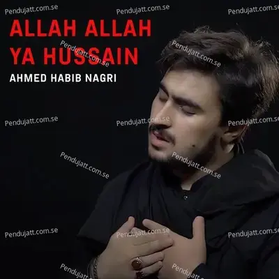 Allah Allah Ya Hussain - Ahmed Habib Nagri album cover 