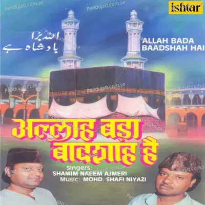 Tum Pe Laakhon Salaam - Mohammad Tufail Niazi album cover 