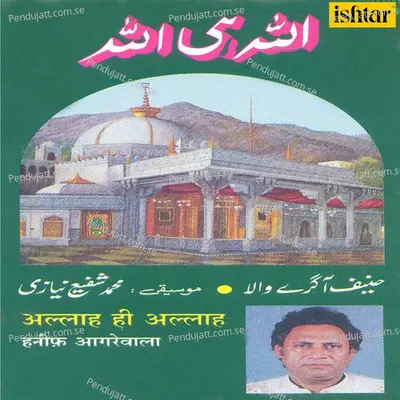 Gouse Aajam Ka Sahara Hai - Mohammad Tufail Niazi album cover 