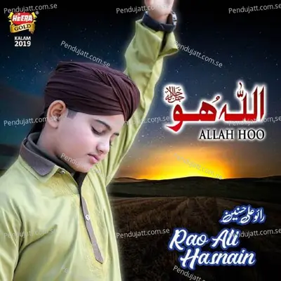 Allah Hoo - Rao Ali Hasnain album cover 