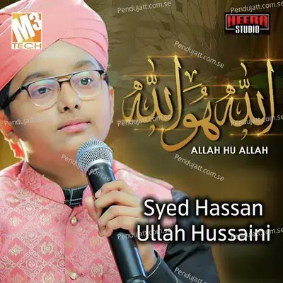 Allah Hu Allah - Syed Hassan Ullah Hussaini album cover 