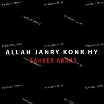 Allah Janry Konr Hy - Zaheer Abbas album cover 