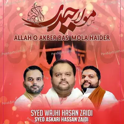 Allah O Akber Bas Mola Haider - Syed Wajhi Hasan Zaidi album cover 