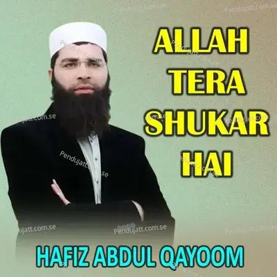 Allah Tera Shukar Hai - Hafiz Abdul Qayoom album cover 