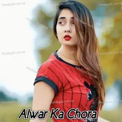 Alwar Ka Chora - Aslam Singer Mewati album cover 