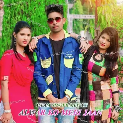 Alwar Ko Meri Jaan - Aslam Singer Mewati album cover 