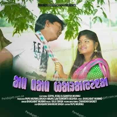 Am Mam Harayena - Bhagabat Murmu album cover 