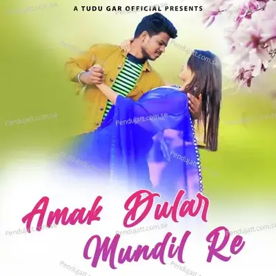 Amak Dular Mundil Re - Stephan Tudu album cover 