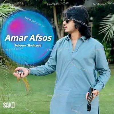 Aino Nee - Saleem Shahzad album cover 