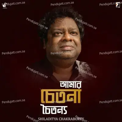Amar Chetona Chaitanya - Shiladitya Chakraborty album cover 