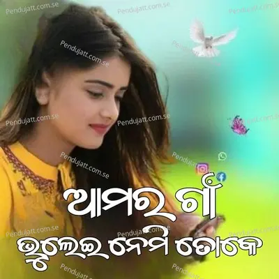 Amar Gan Bhuleinemi Toke - Hari Tangulu album cover 