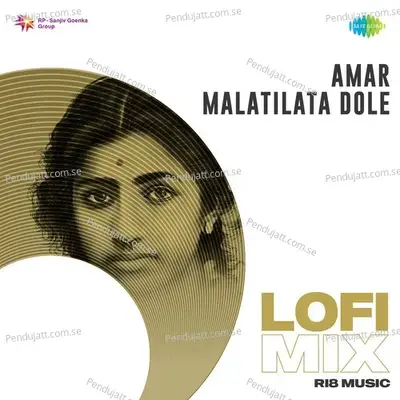 Amar Malatilata Dole - Lofi Mix - Lata Mangeshkar album cover 