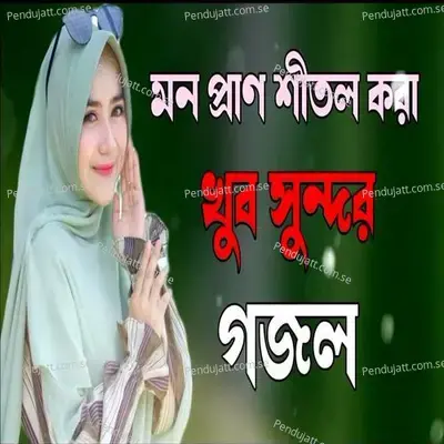 Amar Monta Sudhu Cay Pakhir Moto Ore Ore Modinate Zai - Asma Akter album cover 