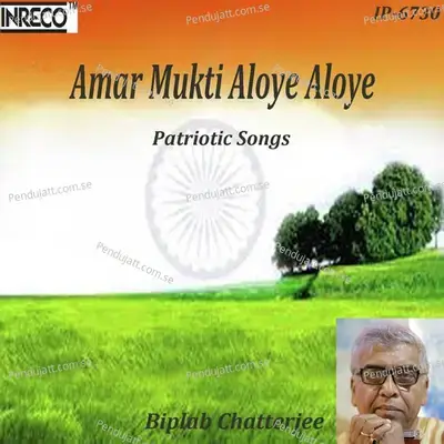 Amar Mukti Aloye Aloye - Biplab Chatterjee