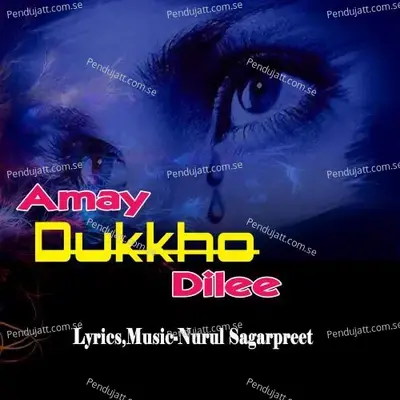 Amay Dukkho Dili - ILL album cover 