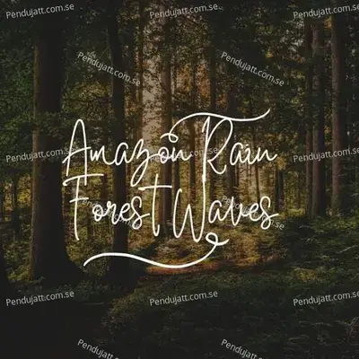 Amazon Rain Forest Waves - Lakhan Hire album cover 
