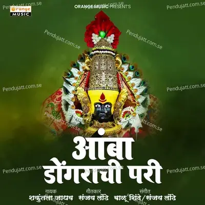 Amba Dongarachi Pari - Vijay Sartape album cover 