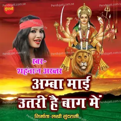 Amba Mai Utari Hai Baagh Me - Shahnaz Akhtar album cover 