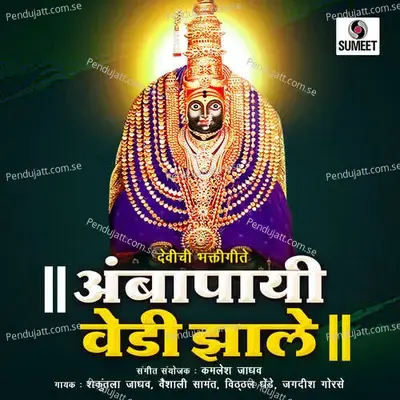 Ambabai Sathi Vedi Zale - Vaishali Samant album cover 