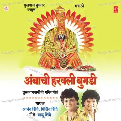 Malvat Bharla Sambal Ghumla - Anand Shinde album cover 