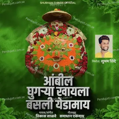 Ambil Ghugarya Khyala Basali Yedamay - Vikas Salve album cover 