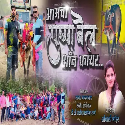 Amcha Pushpa Bail On Fire - Sonali Bhoir album cover 