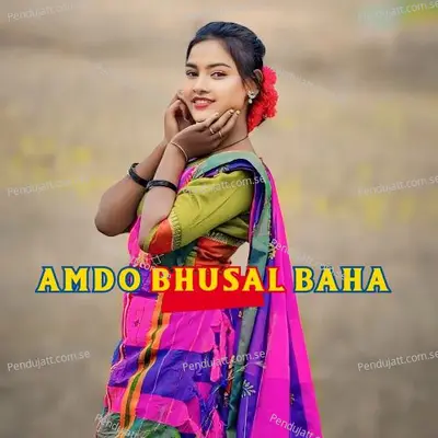 Amdo Bhusal Baha - Geeta Singh Baskey album cover 