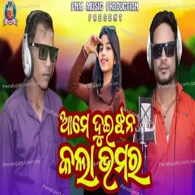 Ame Duijhan Kala Bhamara - Mahatlal Banchhor album cover 