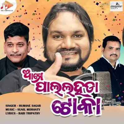 Ame Pallahada Toka - Rabi Tripathy album cover 