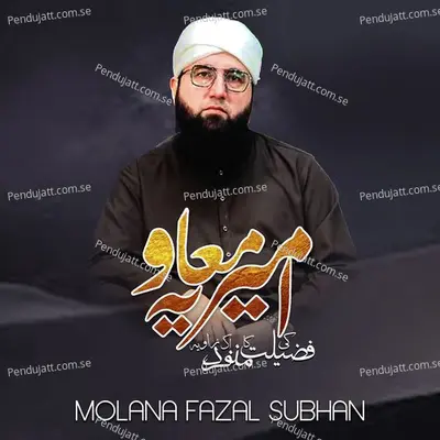 Ameer E Muawiyah Ki Fazilat Ka Ek Munfarid Zawiya - Molana Fazal Subhan album cover 