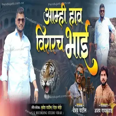 Amhich Hav Virarch Bhai - Vaibhav Patil album cover 